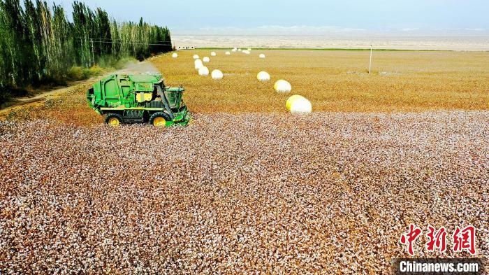 近年來，當?shù)孛藁ǚN植戶的生產(chǎn)生活發(fā)生了翻天覆地的變化?！《?攝