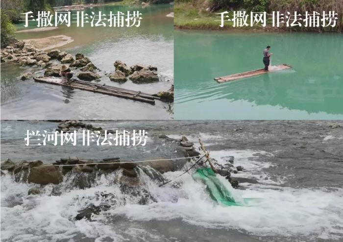 2021年9—10月，前期暗查發(fā)現(xiàn)，保護區(qū)核心區(qū)內(nèi)非法捕撈行為十分猖獗