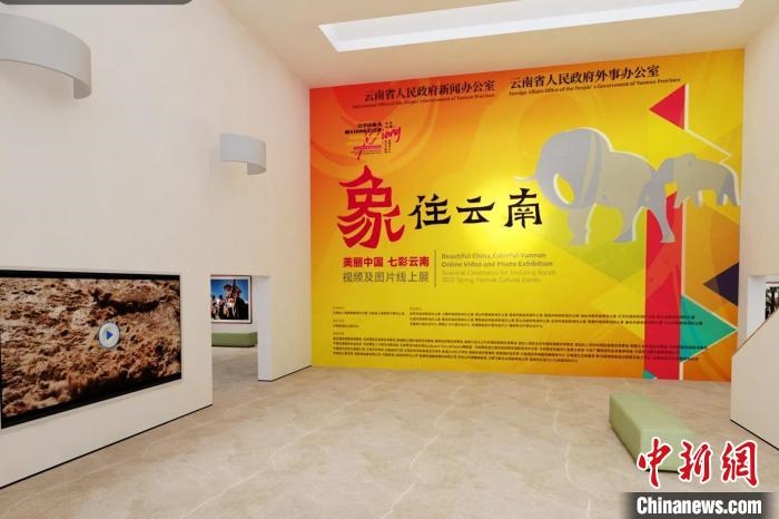 圖為“象”往云南——美麗中國 七彩云南視頻及圖片線上展截圖。　胡遠航 攝