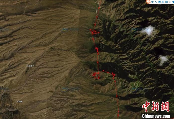 圖為雪豹故地重游來到放歸地的足跡?！?nèi)蒙古賀蘭山國家級自然保護(hù)區(qū)供圖