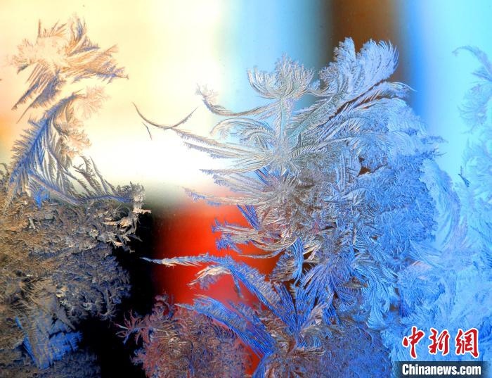 冰窗花千姿百態(tài)。　孫書程 攝