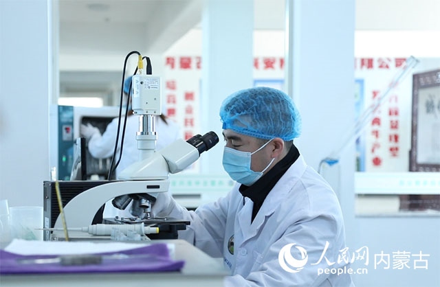 內(nèi)蒙古中農(nóng)興安種牛科技有限公司落戶科右中旗，為肉牛產(chǎn)業(yè)發(fā)展提供了優(yōu)質(zhì)的種源保障。白俊華攝