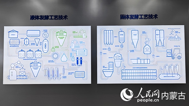 科拓生物工藝技術(shù)展示。人民網(wǎng)記者 張雪冬攝