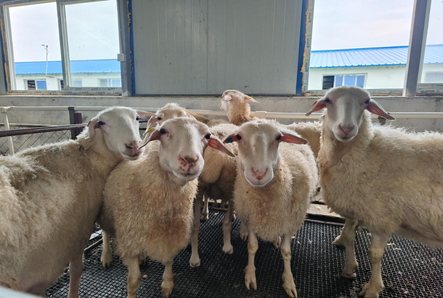 1751893708284440.png 圖片65.png