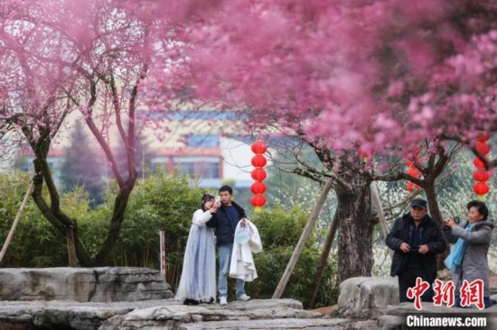 2月23日，市民在乾藝梅園景區(qū)觀賞綻放的梅花。瞿宏倫 攝