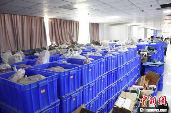 圖為待清理的骨骼標本。王宇 攝