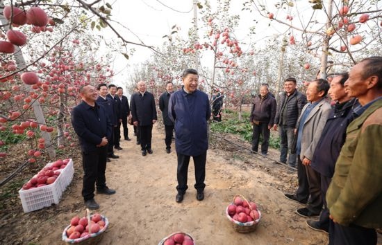 2022年10月26日，習(xí)近平總書記在陜西省延安市安塞區(qū)高橋鎮(zhèn)南溝村蘋果園同老鄉(xiāng)們親切交流。