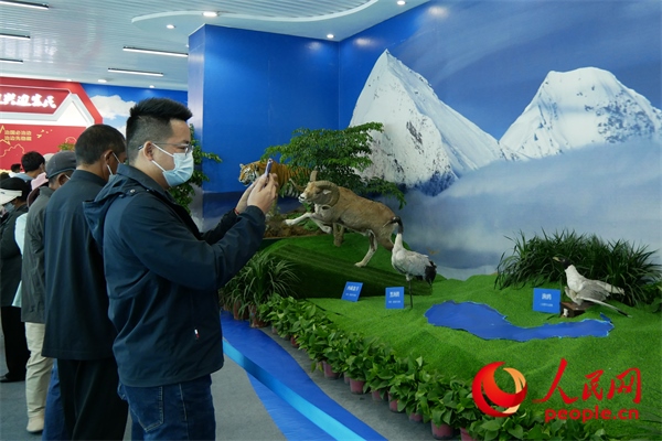 6月17日，觀眾正在觀展。人民網(wǎng) 韋衍行攝