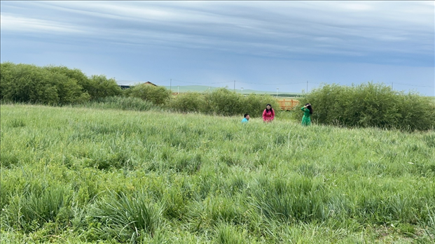 圖為游客在草原上拍照游玩。人民網(wǎng)記者 金洪花攝