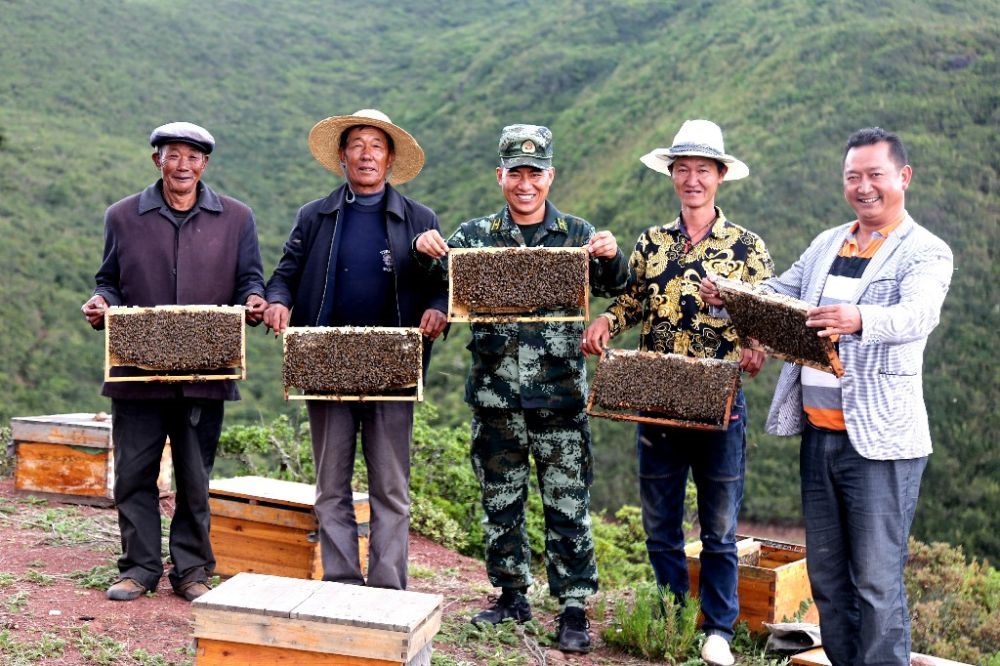 ↑武警四川總隊涼山支隊精準幫扶昭覺縣梭梭拉打村發(fā)展養(yǎng)蜂產業(yè)，總隊駐村扶貧干部布哈（中）和村民一同展示豐收成果（2019年6月12日攝）。新華社發(fā)（楊劍 攝）