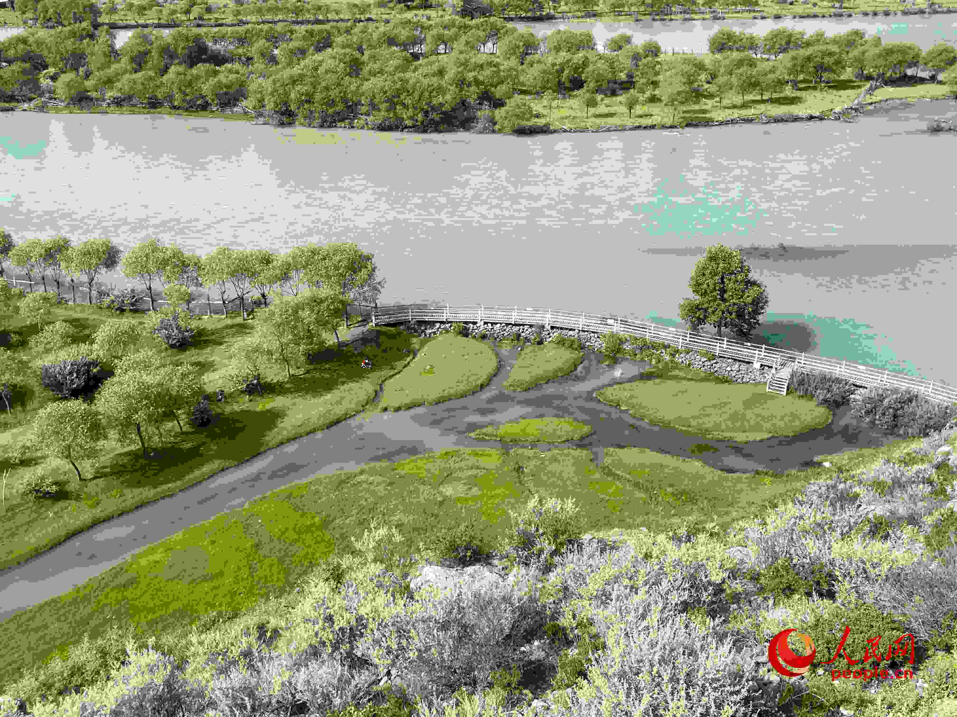 夏日的雅尼國家濕地公園生機盎然，如詩如畫。人民網(wǎng) 周靜圓攝