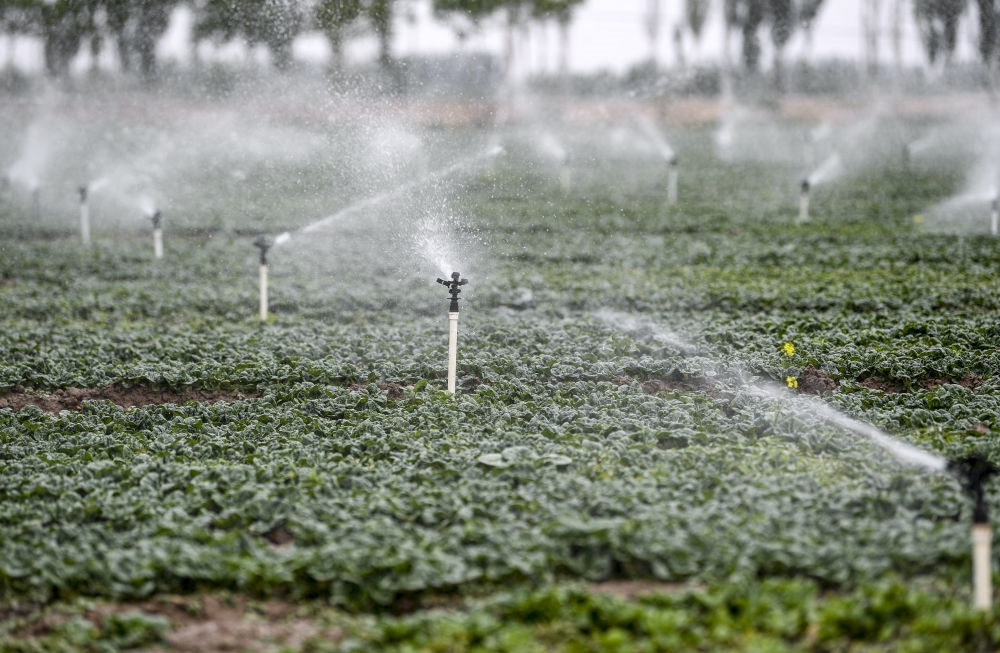 2023年5月25日，在寧夏銀川市永寧縣望洪鎮(zhèn)宋澄村冷涼蔬菜種植基地，小型噴灌節(jié)水設(shè)備在進行噴灌作業(yè)。新華社記者 馮開華 攝
