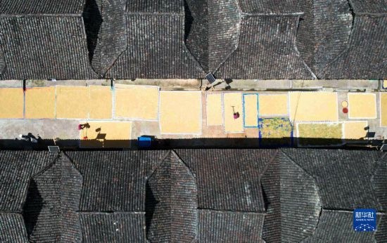 9月16日，在貴州省黔東南苗族侗族自治州從江縣加勉鄉(xiāng)污扣村，村民在晾曬稻谷（無人機(jī)照片）。