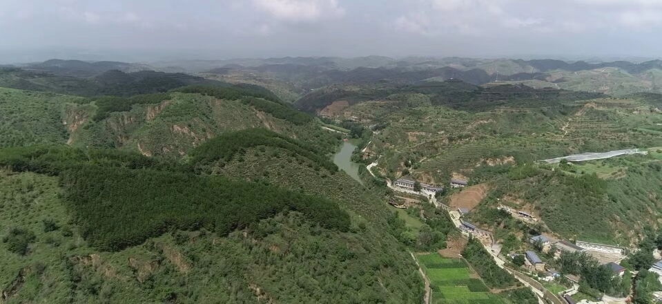 黃土溝壑中的高西溝村滿眼綠色（無人機(jī)照片，2023年7月26日）。新華社記者陳昌奇 攝