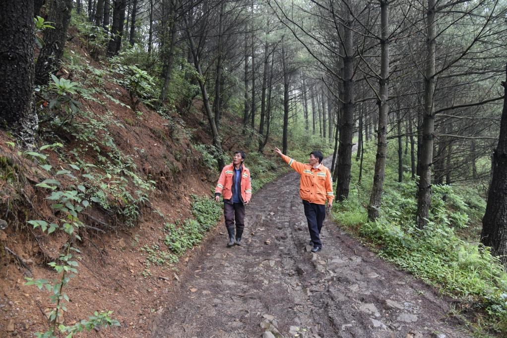 海雀村生態(tài)護(hù)林員馬正安（左）和海雀村林管員王光德（右）在日常巡山護(hù)林。新華社記者 李凡 攝