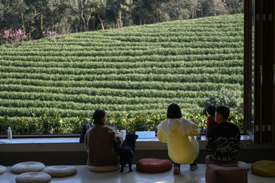 游客在浙江省安吉縣黃杜村萬畝茶園邊的咖啡館休閑（2023年2月21日攝）。