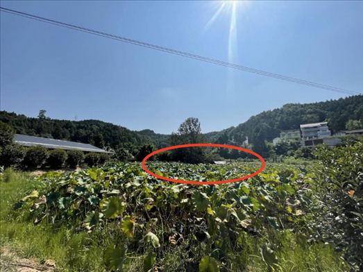 曾經(jīng)的圣水園所在地。 人民網(wǎng)記者 楊喬攝