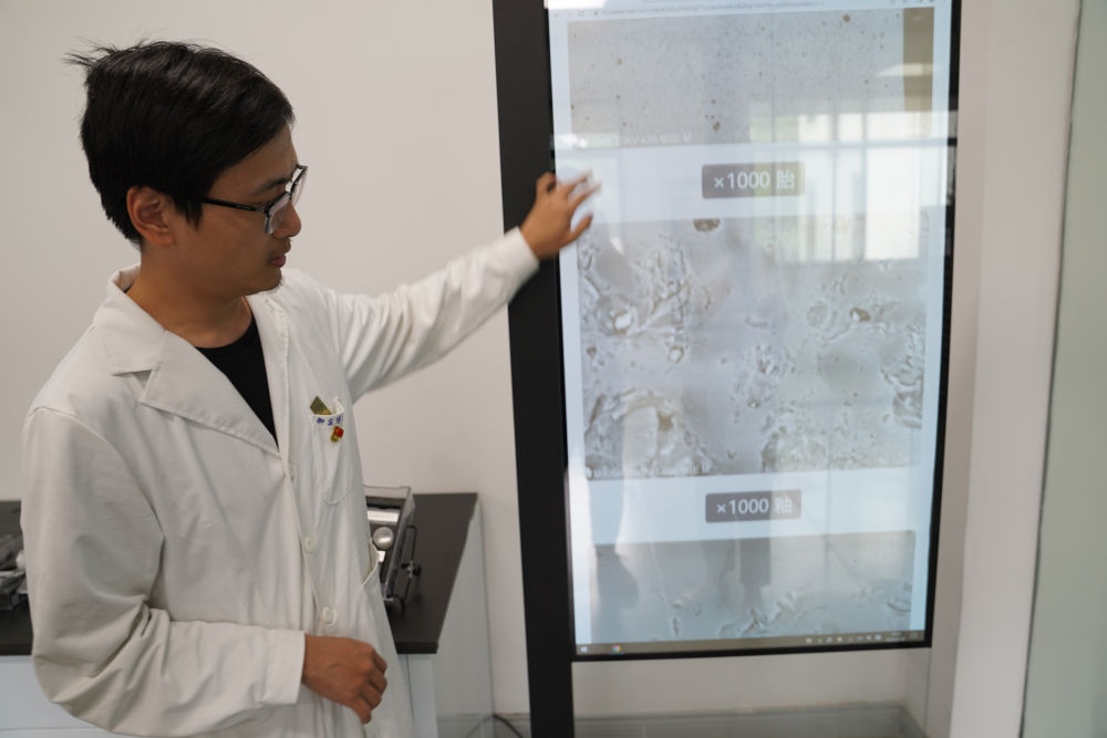 ↑ 工作人員展示瓷片標(biāo)本的配方研究數(shù)據(jù)（2023年5月16日攝）。