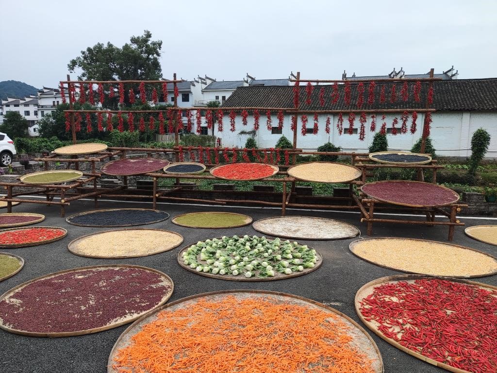 近日，江西省上饒市婺源縣秋口鎮(zhèn)王村村民晾曬的農(nóng)作物。新華社記者 劉佳敏 攝