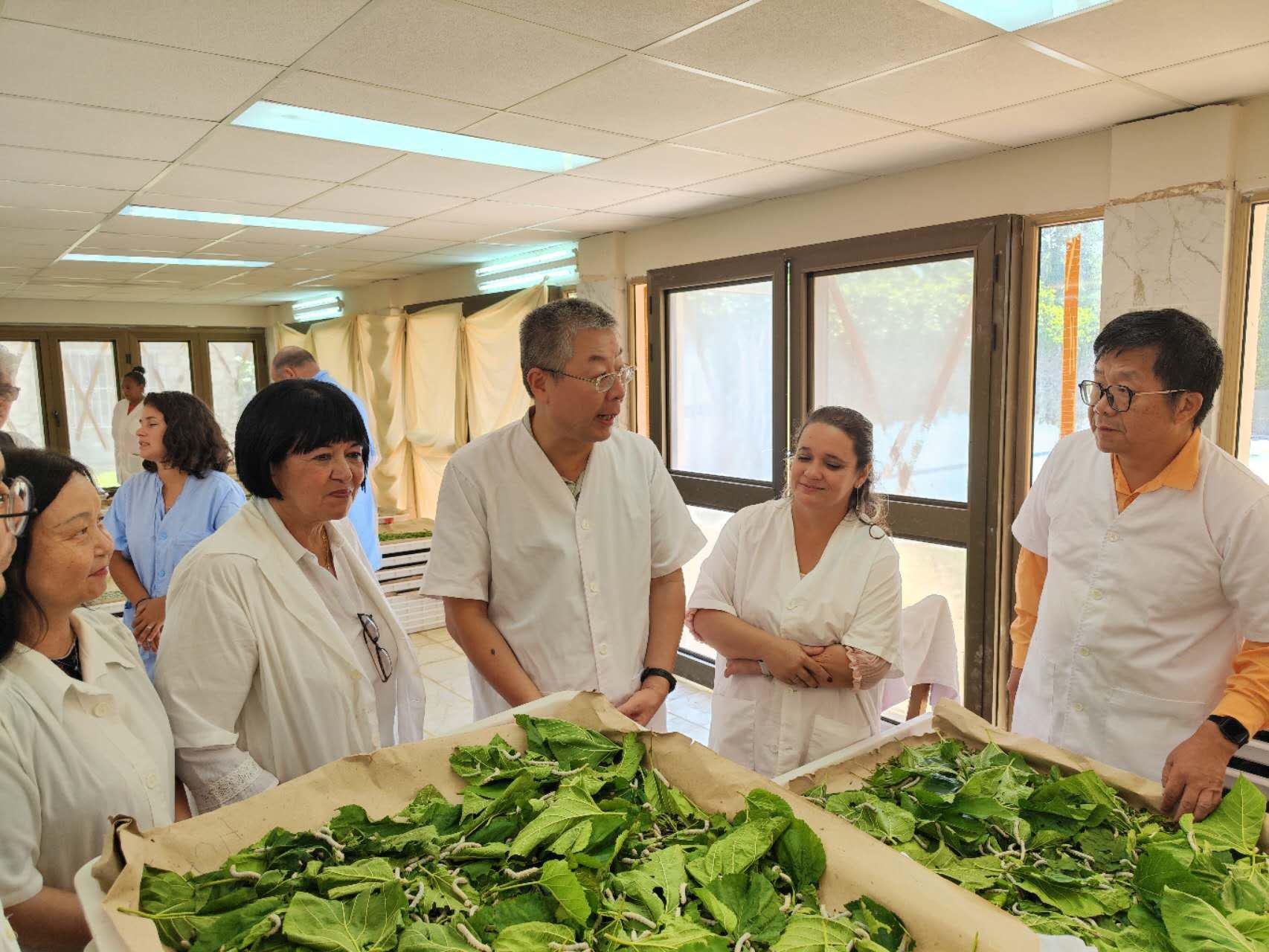 2023年5月23日，中國(guó)駐古巴大使馬輝考察古中蠶?？萍己献髦行?。來(lái)源：中國(guó)駐古巴大使館官網(wǎng)