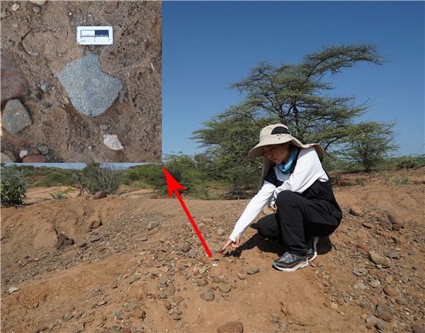 地層中的勒瓦婁哇石片。中肯聯(lián)合考古隊(duì)供圖