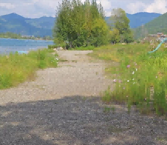 王軍所說被填區(qū)域。 人民網(wǎng)記者 黃鈺攝