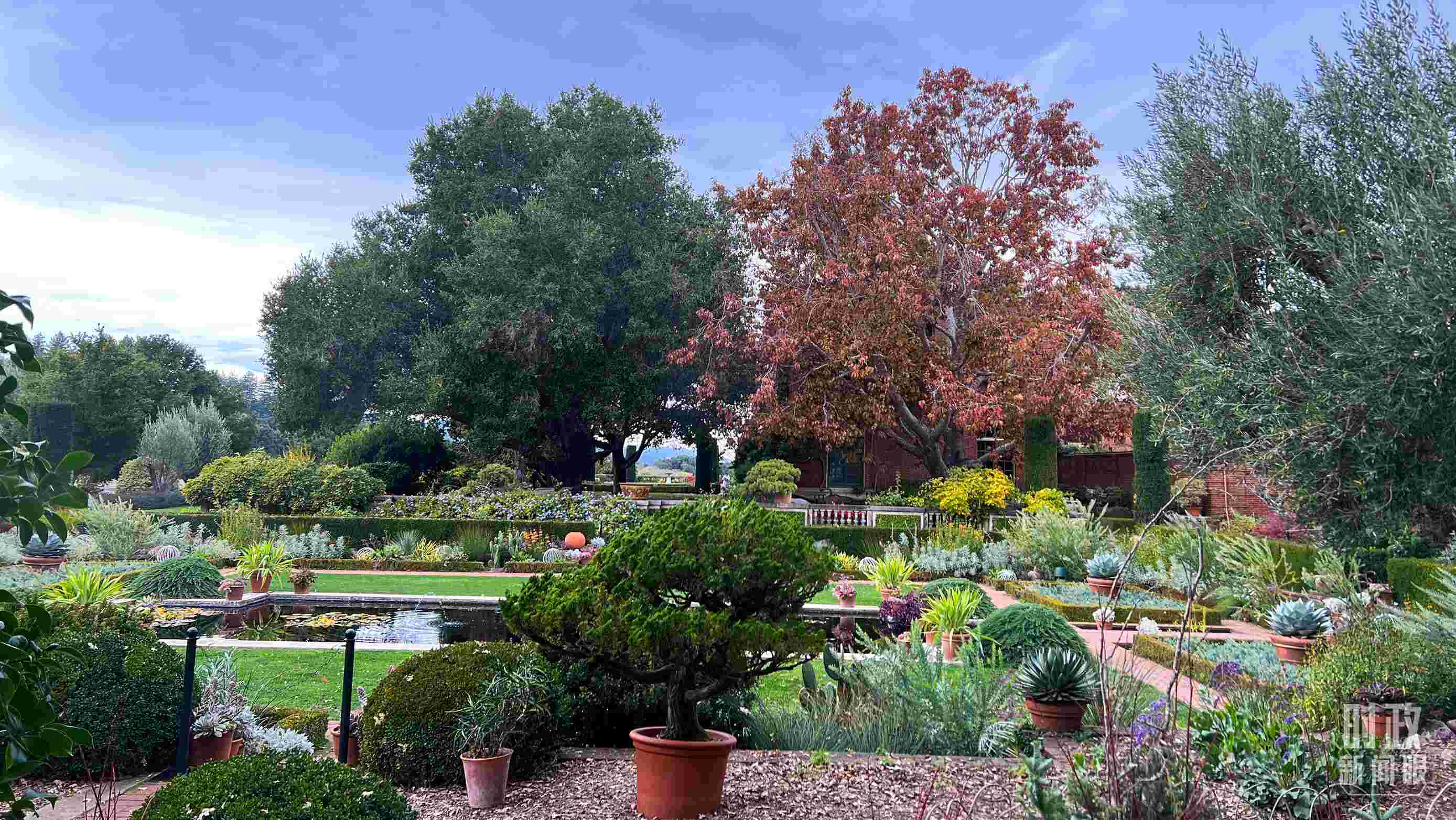 斐洛里莊園被稱作美國20世紀(jì)現(xiàn)存最精美鄉(xiāng)村莊園之一。（總臺(tái)央視記者程鋮拍攝）