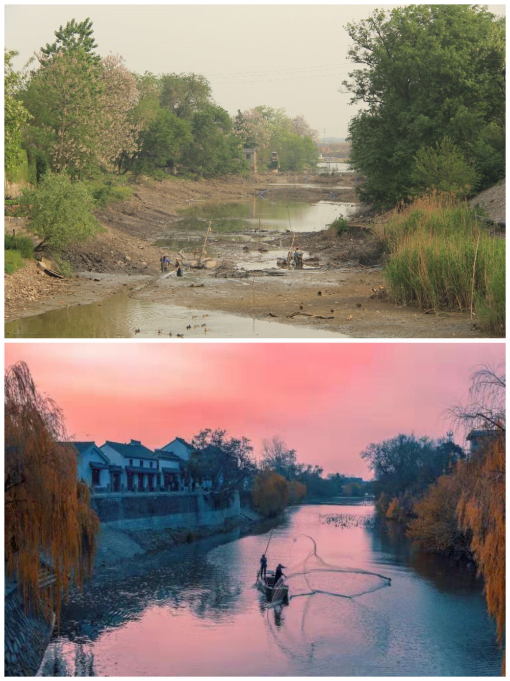 江蘇省揚(yáng)州市江都區(qū)明清運(yùn)河故道整治前后。（上圖：2012年；下圖：2020年）（孫友定 攝）