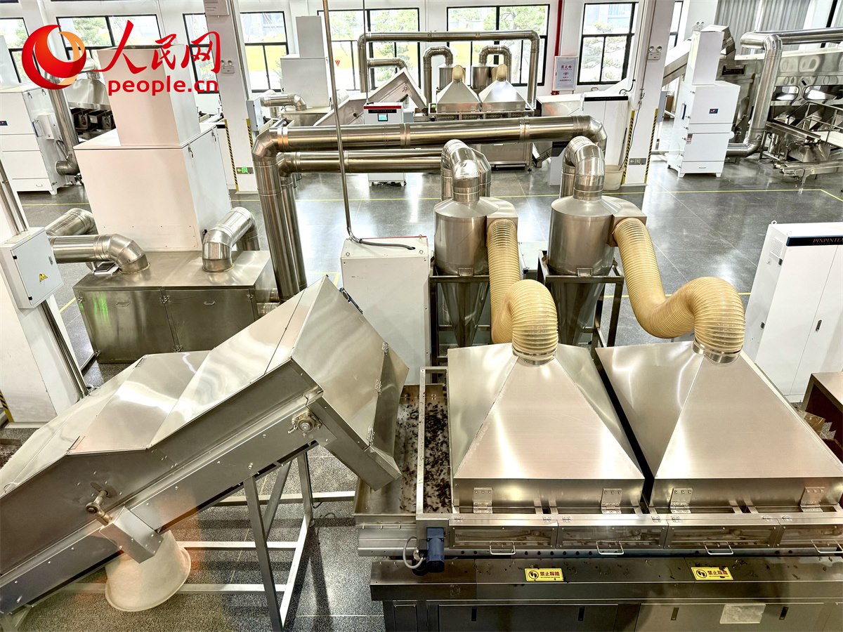 品品香白茶精制自動化生產(chǎn)廠房。人民網(wǎng)記者 劉微攝