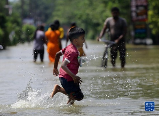 11月24日，一名男孩在斯里蘭卡加姆珀哈涉水出行。新華社發(fā)（阿吉特·佩雷拉攝）