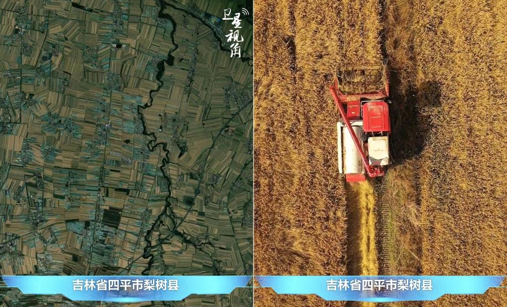 隨著現(xiàn)代化農(nóng)機(jī)普及應(yīng)用，保護(hù)性耕作“梨樹模式”得以大面積推廣，不僅使黑土地保護(hù)與利用持續(xù)深入，更為糧食作物高產(chǎn)穩(wěn)產(chǎn)助力。