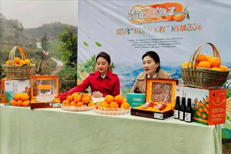 2021年2月26日，在重慶渝北區(qū)大盛鎮(zhèn)青龍村舉辦的直播活動現(xiàn)場。