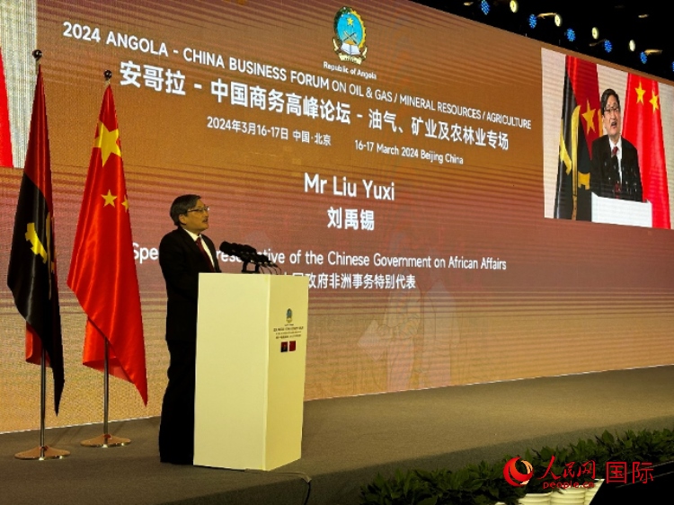 中國(guó)政府非洲事務(wù)特別代表劉禹錫。人民網(wǎng)記者 張榮攝
