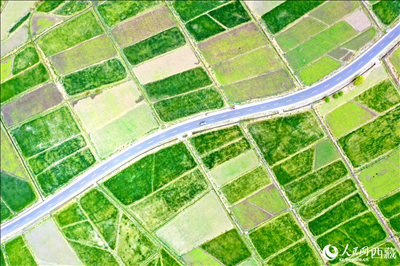 無人機(jī)視角下的西藏山南市瓊結(jié)農(nóng)田。人民網(wǎng)記者 次仁羅布攝