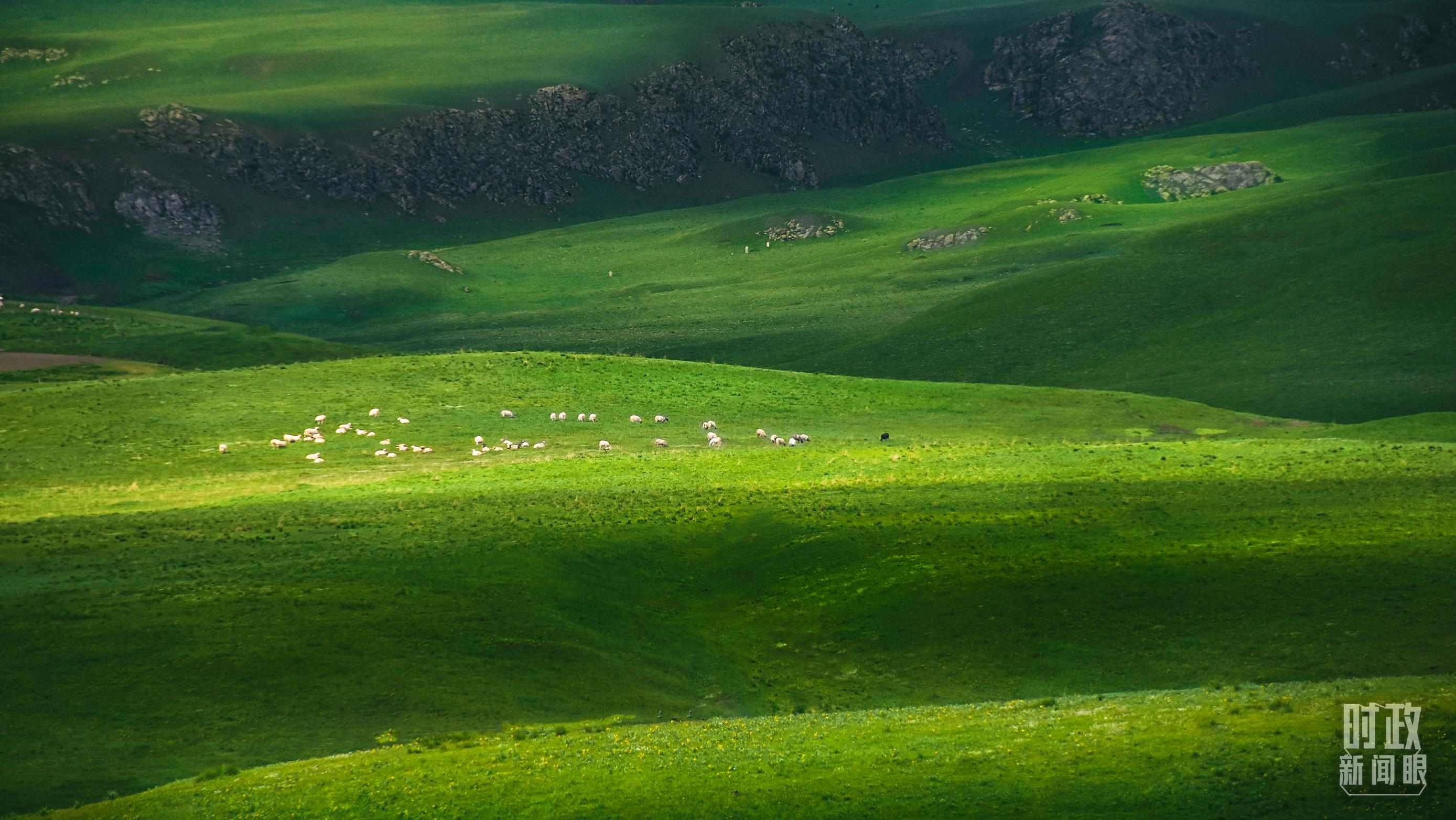 △祁連山草原光影。（圖/視覺(jué)中國(guó)）