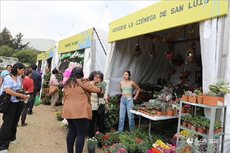 坎波·馬特活動現(xiàn)場。埃內(nèi)斯托·多明戈斯攝