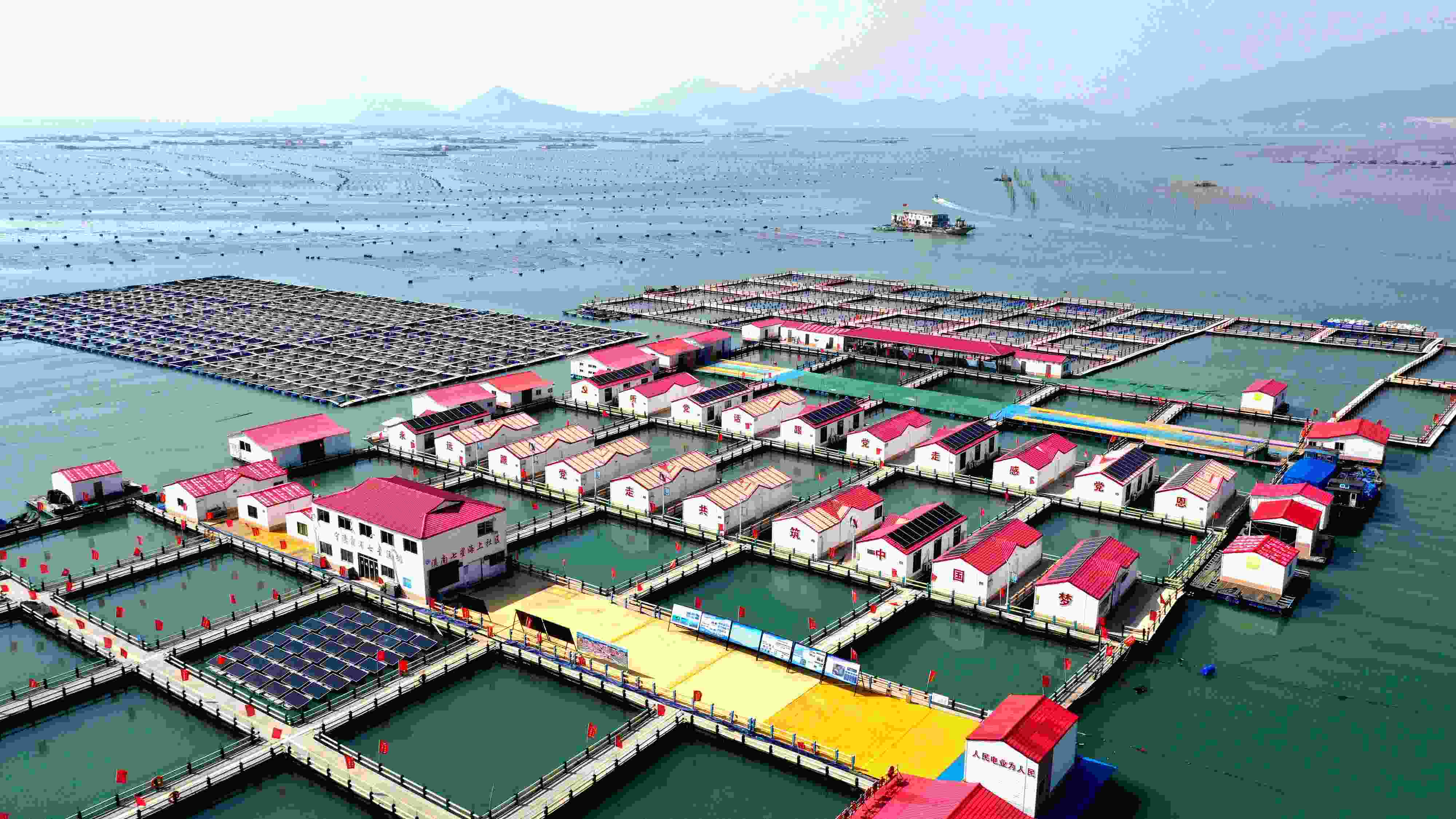 2024年3月20日，福建省寧德市，霞浦縣溪南鎮(zhèn)七星村漁排養(yǎng)殖示范區(qū)，漁民駕駛養(yǎng)殖船進行海參養(yǎng)殖作業(yè)。