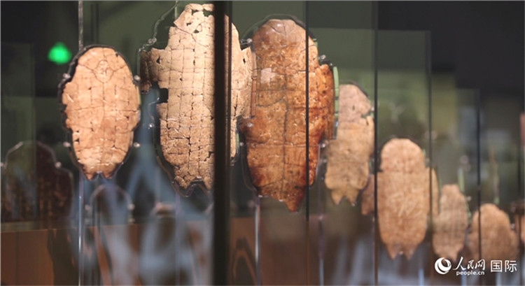 殷墟博物館新館的甲骨展品。人民網(wǎng)記者 劉寧攝