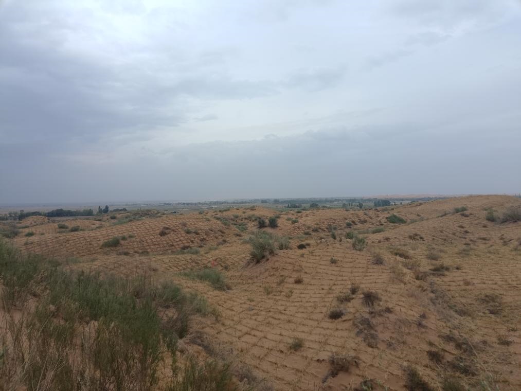 寧夏吳忠市鹽池縣和內(nèi)蒙古鄂爾多斯市鄂托克前旗交界處的流動(dòng)沙丘，今年剛剛完成治理。（孫果攝）