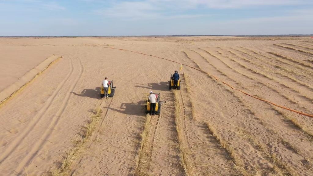 內(nèi)蒙古巴彥淖爾市烏拉特后旗西補(bǔ)隆林業(yè)管護(hù)中心職工駕駛機(jī)械鋪設(shè)壓沙障。新華社記者 李云平 攝