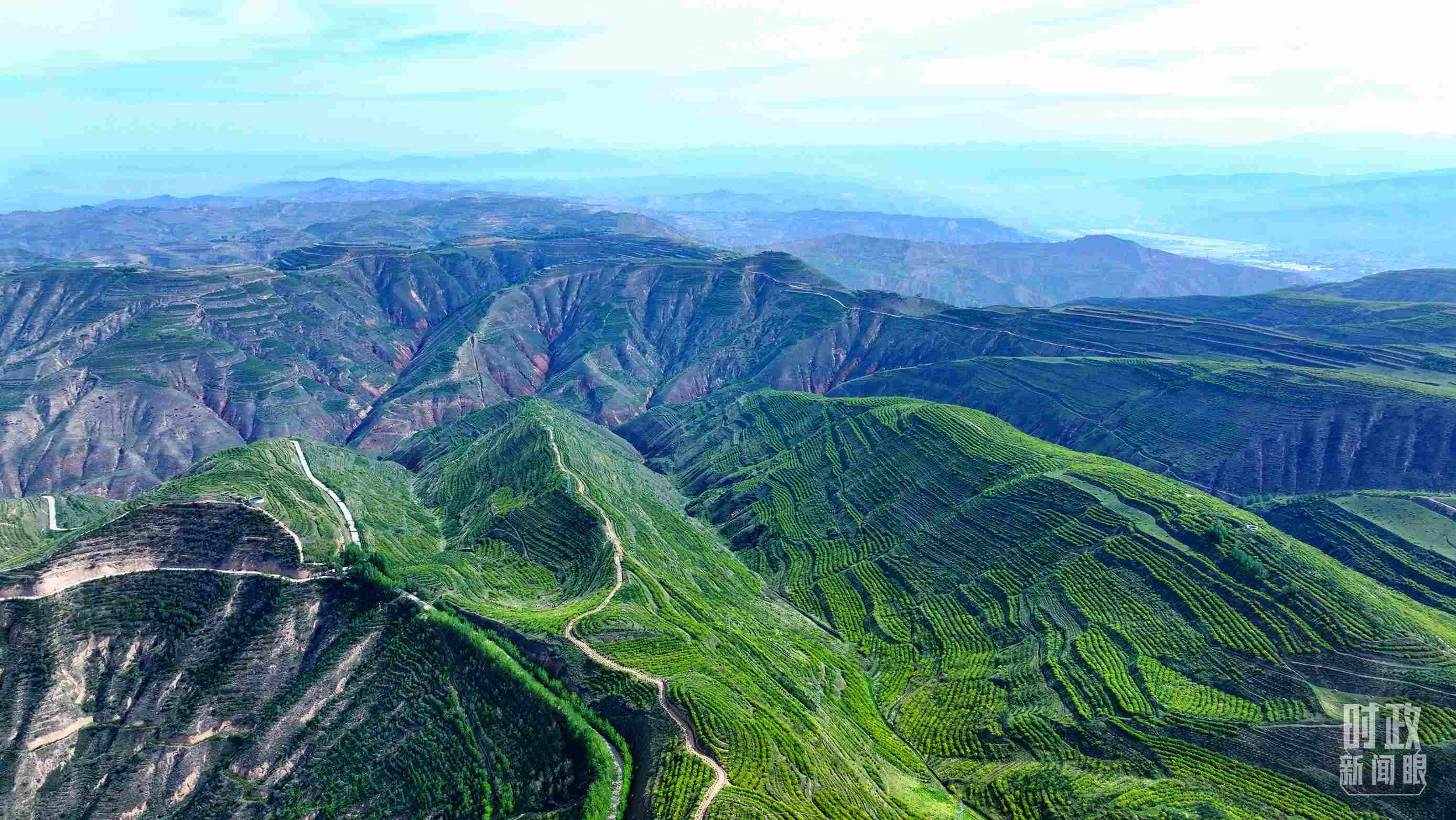 △青海西寧。（總臺記者柳成拍攝）