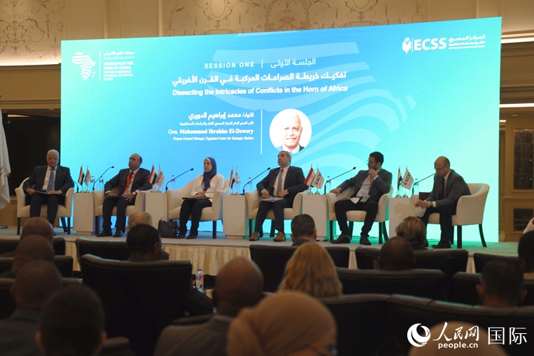 “非洲之角沖突及其對地區(qū)和埃及安全的影響”的研討會現場。沈小曉攝