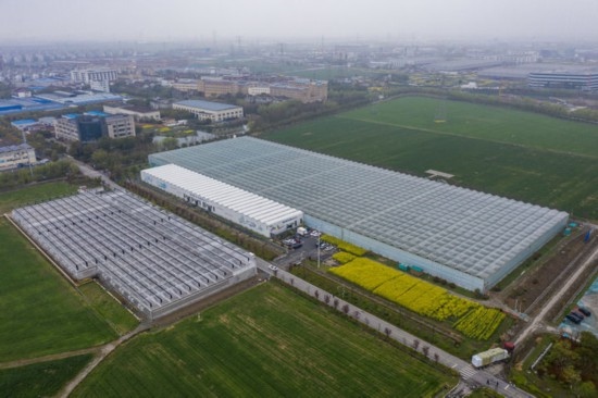 2024年3月28日，空中俯瞰嘉興南湖區(qū)湘家蕩農(nóng)業(yè)數(shù)字化工廠（無人機照片）。該農(nóng)業(yè)數(shù)字化工廠占地總面積約62畝，包含智慧農(nóng)業(yè)生產(chǎn)、物聯(lián)網(wǎng)智能管理、自動分揀包裝、保鮮儲藏物流、高科技示范展示等五大功能區(qū)，可直接或間接培養(yǎng)帶動新型職業(yè)技術(shù)農(nóng)民500人以上。新華社記者 徐昱 攝