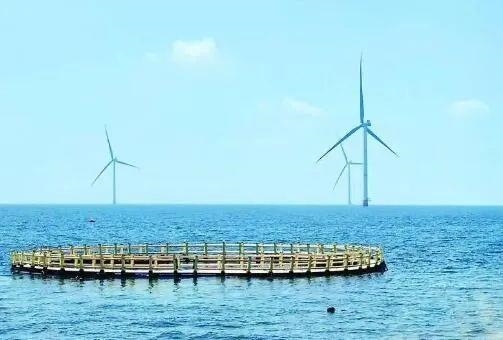 △山東萊州風(fēng)電項(xiàng)目實(shí)現(xiàn)了海上風(fēng)電和海洋牧場融合發(fā)展。