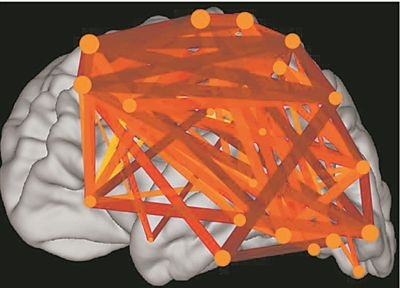 圖上的線條代表大腦皮層中與語言處理相關的各個區(qū)域之間的連接。當閱讀時，這些區(qū)域的神經元會以精確同步的方式激發(fā)，這種現(xiàn)象被稱為共同漣漪。圖片來源：加州大學圣迭戈分校