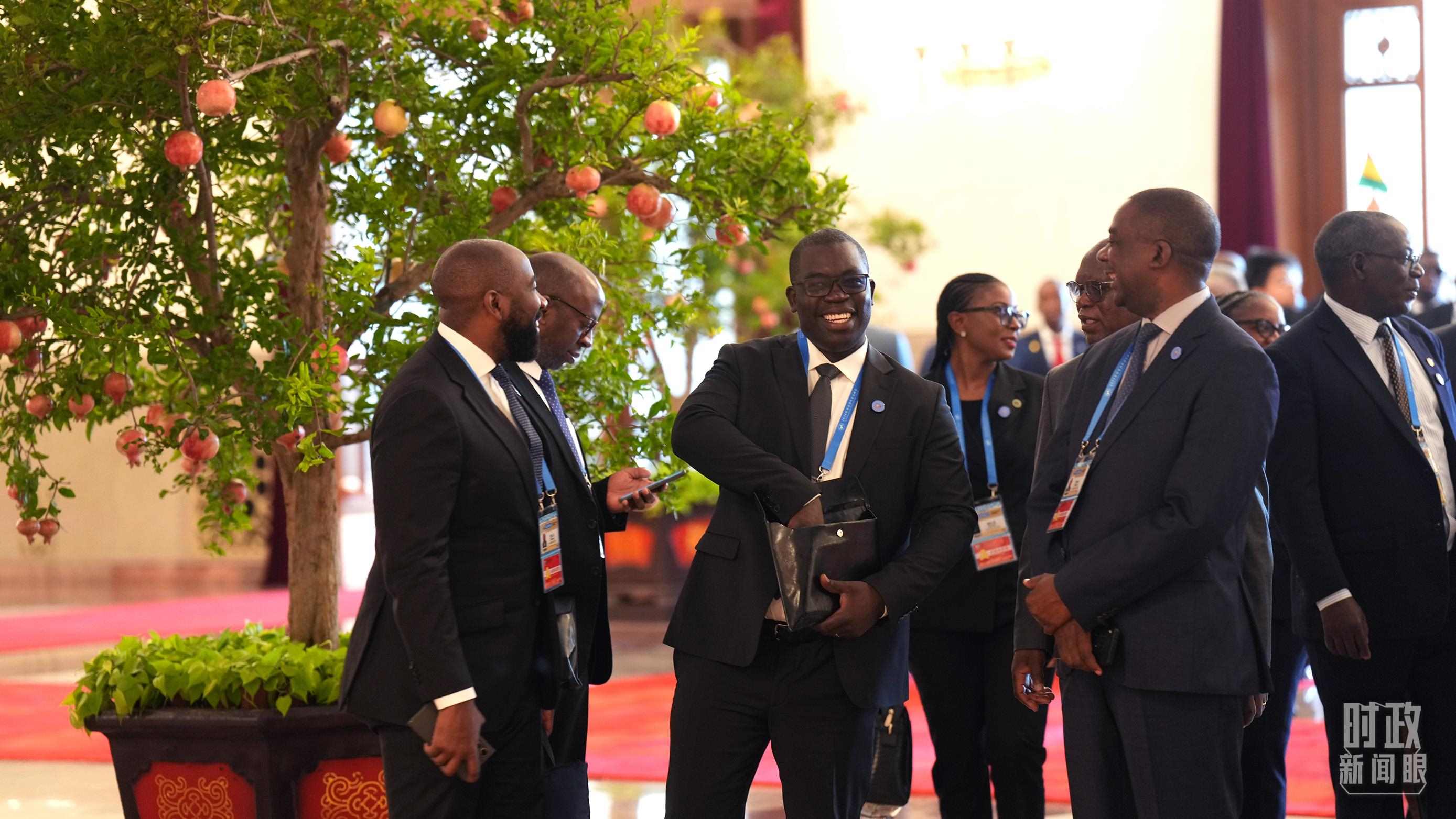 出席中非合作論壇北京峰會(huì)的非洲國(guó)家代表。（總臺(tái)記者李晉拍攝）