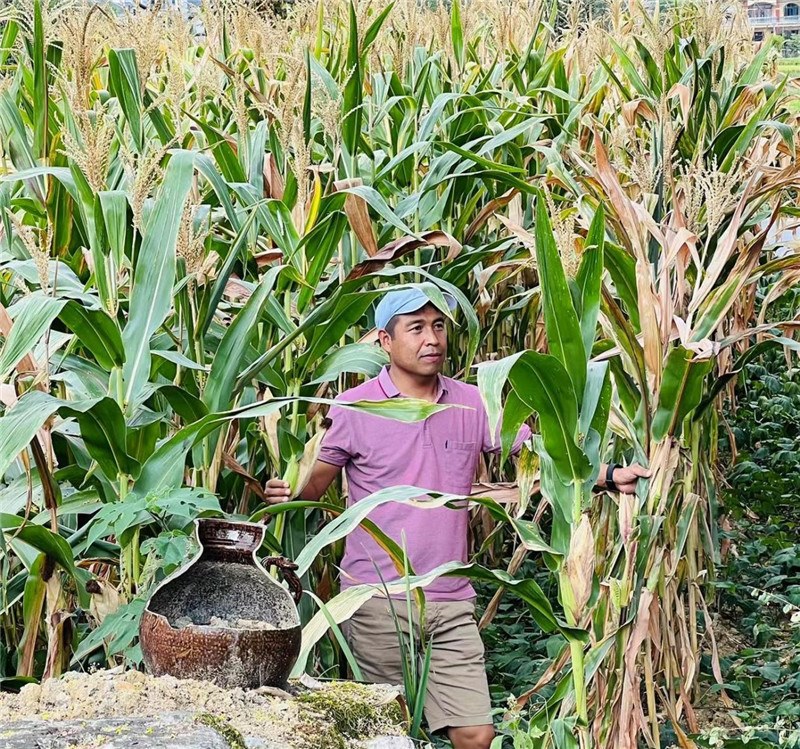 不是攀登石林高臺(tái)，就是鉆入玉米莊稼地，吉爾吉斯斯坦《自由之山報(bào)》總編輯納拉雷·阿桑巴耶夫“身手不凡”，與生長(zhǎng)旺盛的玉米構(gòu)成了花茂村的鄉(xiāng)間野趣。（張亞欣攝）