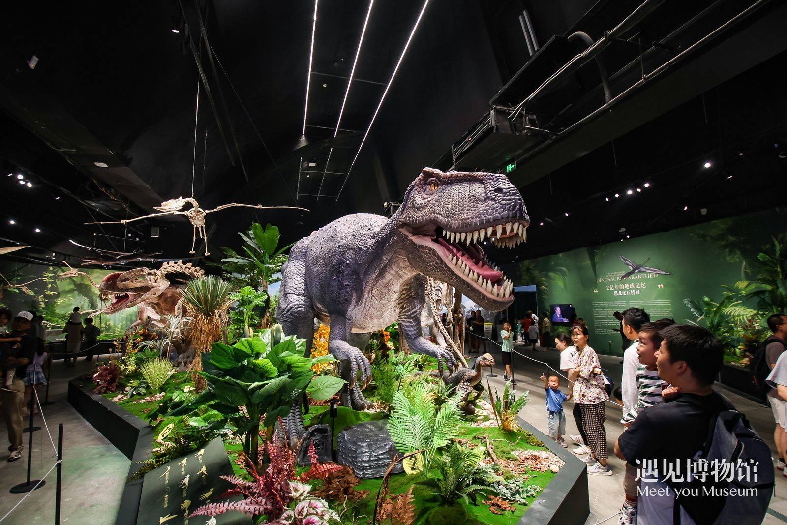 2. 游客參觀“2億年的地球記憶——恐龍化石特展”。遇見博物館供圖