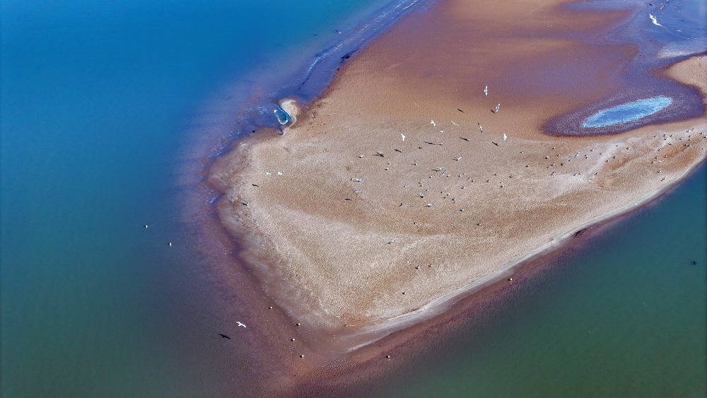 2024年3月1日拍攝的黃河寧夏段（無人機(jī)照片）。