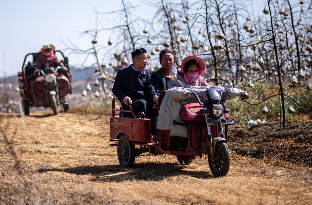 全國人大代表袁海波（右三）在云南省曲靖市馬龍區(qū)一種植基地了解務(wù)工人員就業(yè)需求（2023年2月11日攝）。新華社記者 江文耀 攝
